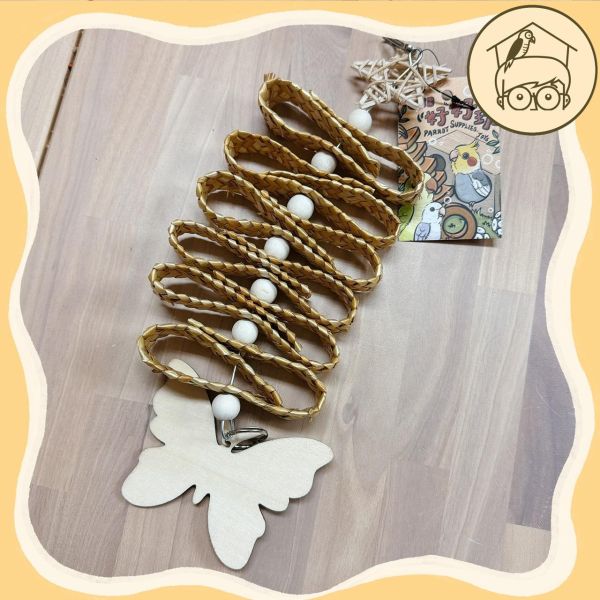 蝴蝶蝴蝶生的真美麗【鸚鵡小木屋】 