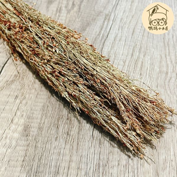 玄鳳最愛的高粱苗｜中小型鸚鵡啃咬玩具【鸚鵡小木屋】 