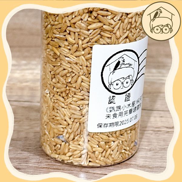 純天然無殼新鮮燕麥 
