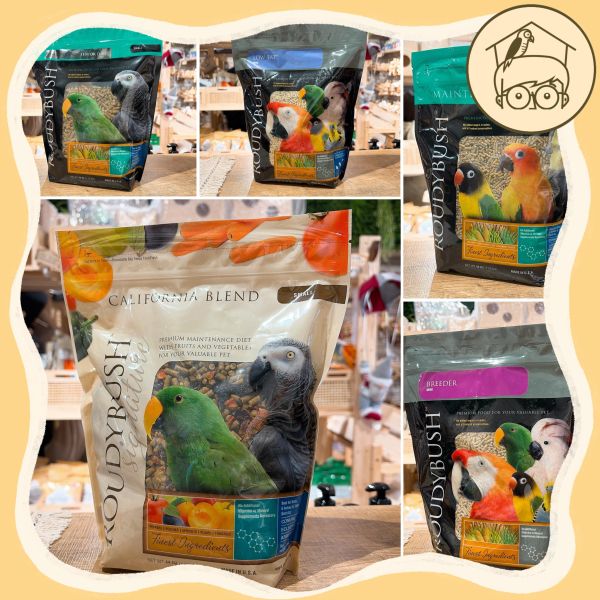 蘿蒂布姬Roudybush高品質滋養丸｜美國進口｜鸚鵡小木屋 