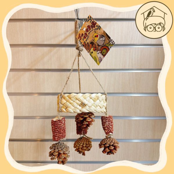 圈圈螺旋果實串【鸚鵡小木屋】 