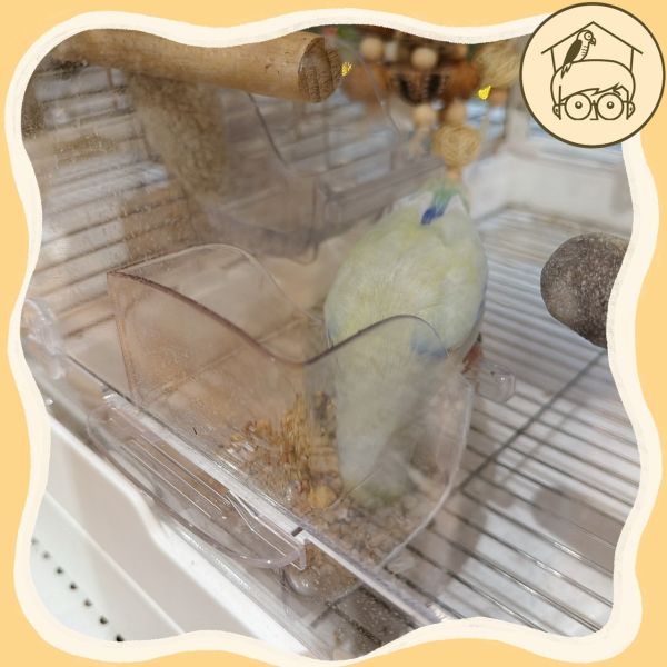 透明壓克力防潑灑食盒【鸚鵡小木屋】 