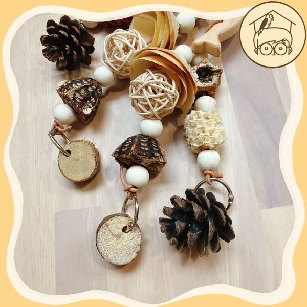 海洋之歌～天然繽紛果實啃咬串！【鸚鵡小木屋】 