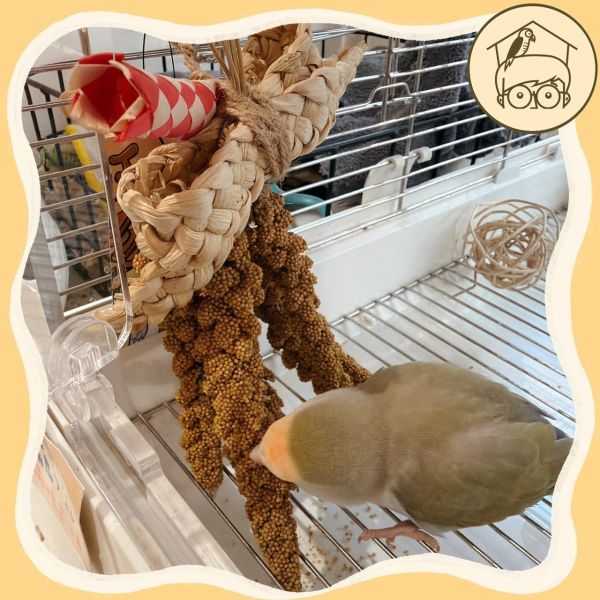 台製｜手作｜穗稻夏舞串｜鳥寶最愛小點心玩具【鸚鵡小木屋】 