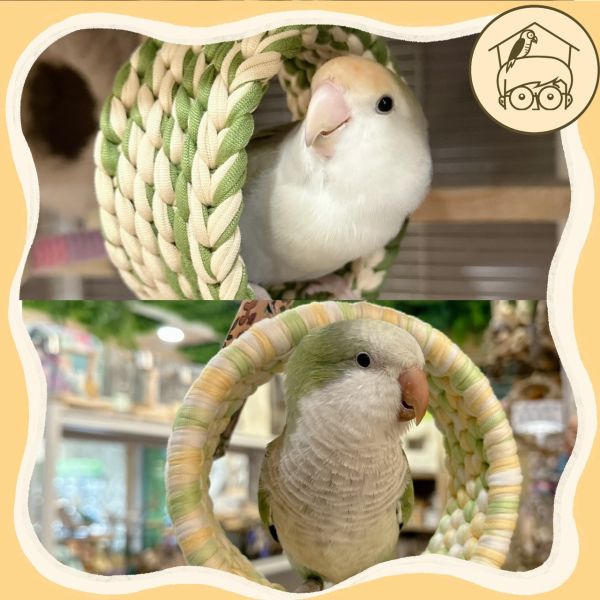 手作布線寬版窄版甜甜圈鞦韆【鸚鵡小木屋】 