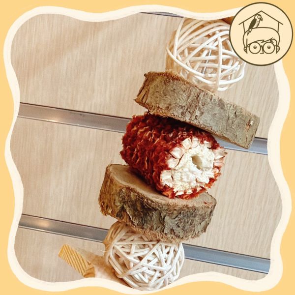 小鳥愛不釋手繽紛果實啃咬串【鸚鵡小木屋】 