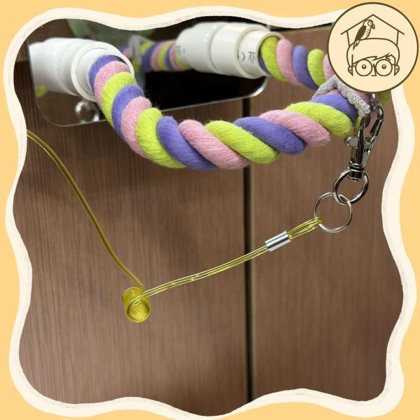 J個好繩｜激推～自用款三節式防咬鋼索外出繩【鸚鵡小木屋】 