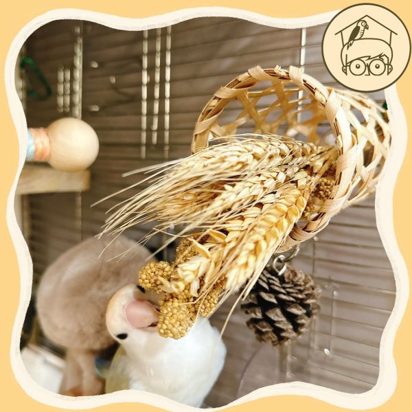 稻穗竹編小花籃【鸚鵡小木屋】 
