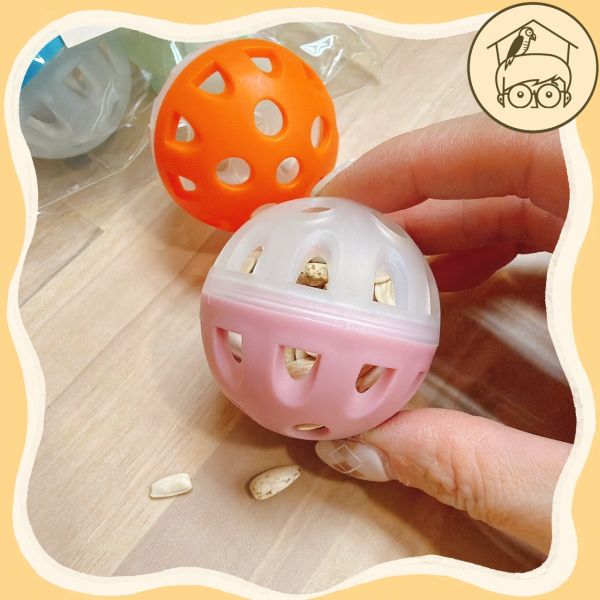 台製｜邊玩邊吃益智覓食球球【鸚鵡小木屋】 