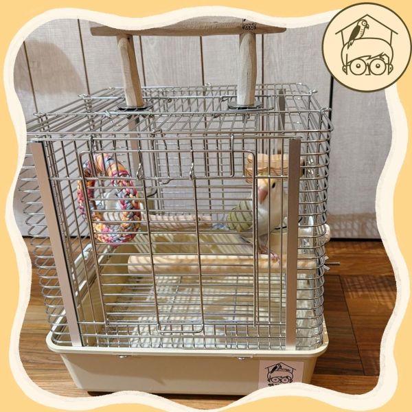 莫蘭迪四色防摔籠【鸚鵡小木屋】 