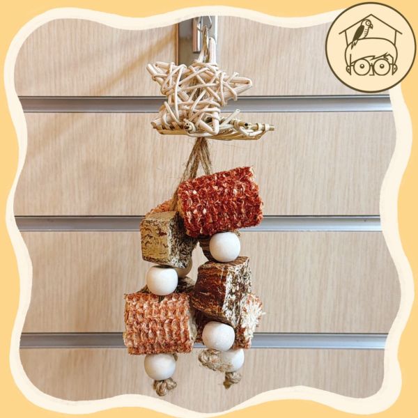 星星小帽果實串【鸚鵡小木屋】 