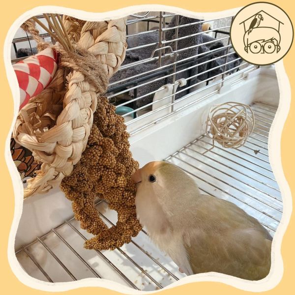 台製｜手作｜穗稻夏舞串｜鳥寶最愛小點心玩具【鸚鵡小木屋】 