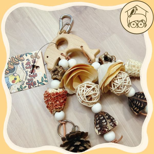 海洋之歌～天然繽紛果實啃咬串！【鸚鵡小木屋】 