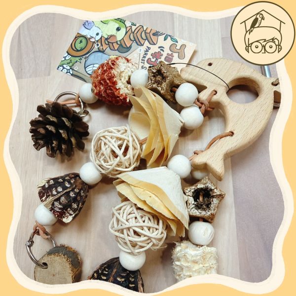 海洋之歌～天然繽紛果實啃咬串！【鸚鵡小木屋】 