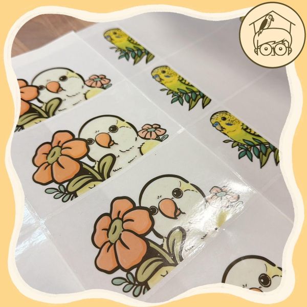 手繪｜鸚鵡造型插座貼紙【鸚鵡小木屋】 
