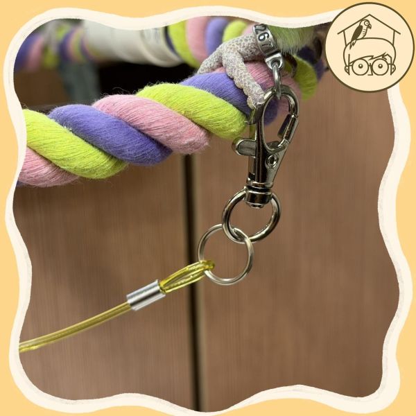 J個好繩｜激推～自用款三節式防咬鋼索外出繩【鸚鵡小木屋】 