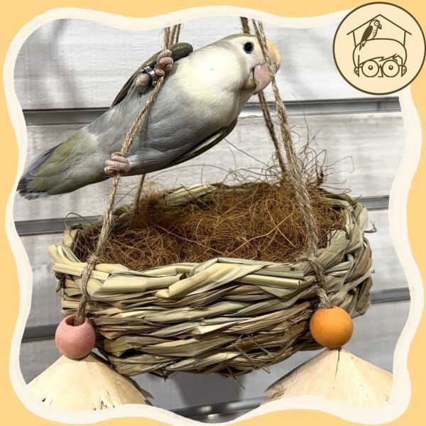 一碗鳥巢小窩鞦韆【鸚鵡小木屋】 