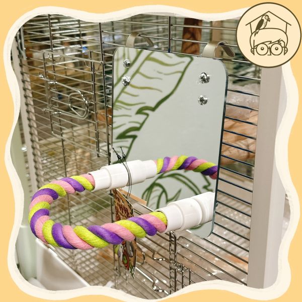 鳥鳥愛漂亮麻繩鏡面站棍組【鸚鵡小木屋】 