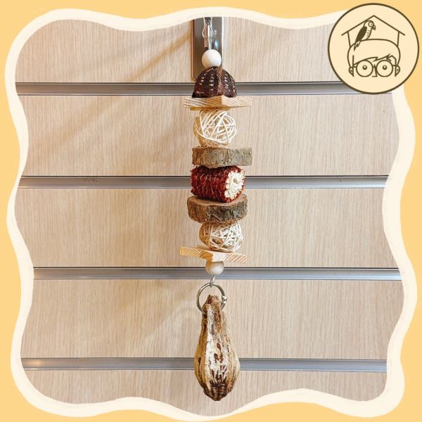 小鳥愛不釋手繽紛果實啃咬串【鸚鵡小木屋】 