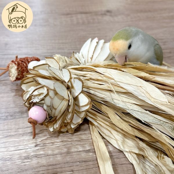 玉米葉精緻木琁花｜中小型鸚鵡啃咬玩具【鸚鵡小木屋】 