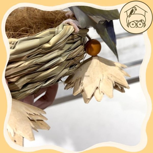 一碗鳥巢小窩鞦韆【鸚鵡小木屋】 