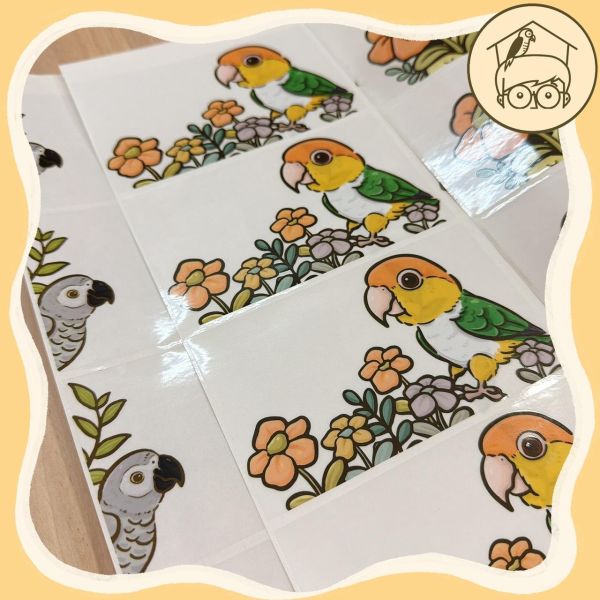 手繪｜鸚鵡造型插座貼紙【鸚鵡小木屋】 