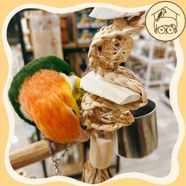 台灣手作蘋果樹系列｜海陸串燒海洋味【鸚鵡小木屋】 