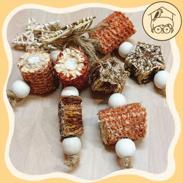 星星小帽果實串【鸚鵡小木屋】 