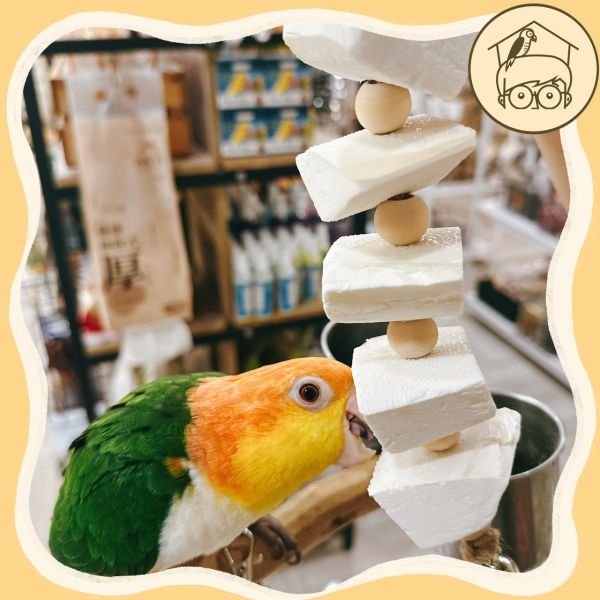 台灣手作蘋果樹系列｜海洋的滋味墨魚骨串【鸚鵡小木屋】 