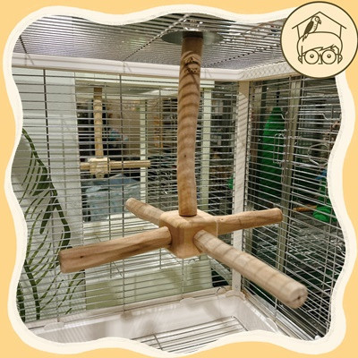 台灣製芭樂木可拆式手工轉轉樂【鸚鵡小木屋】 