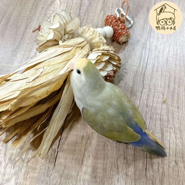 玉米葉精緻木琁花｜中小型鸚鵡啃咬玩具【鸚鵡小木屋】 