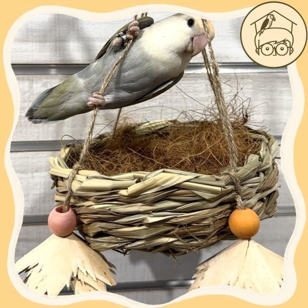 一碗鳥巢小窩鞦韆【鸚鵡小木屋】 