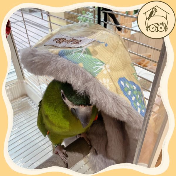 台灣手作｜韓國布｜冷颼颼籠內必備不占空間保暖角落毯【鸚鵡小木屋】 