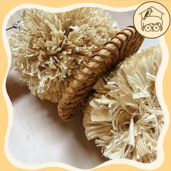 菈非草啃咬漢堡串【鸚鵡小木屋】 