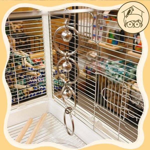 不銹鋼四個圈圈玩具串【鸚鵡小木屋】 