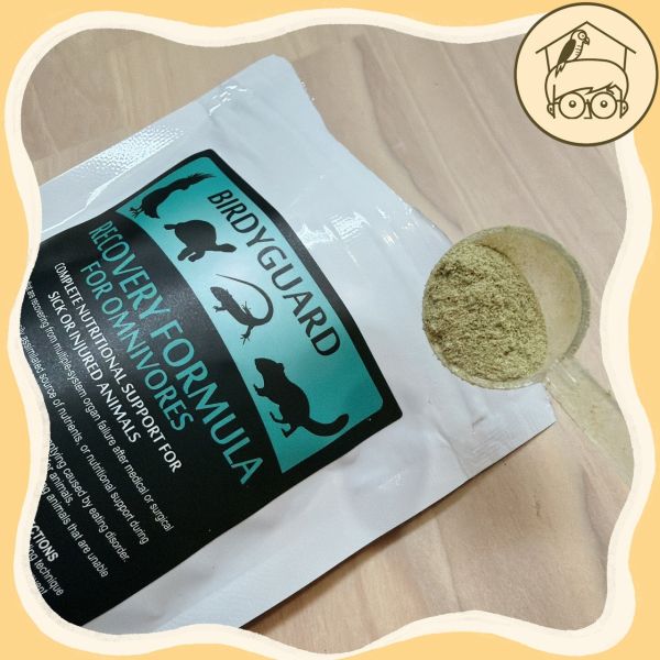 台製｜補充熱量好幫手｜完整膳食配方｜小寵專用高蛋白【鸚鵡小木屋】 