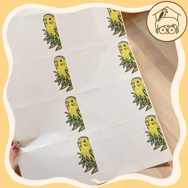 手繪｜鸚鵡造型插座貼紙【鸚鵡小木屋】 