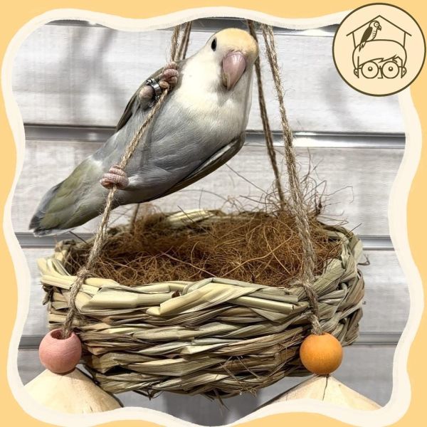 一碗鳥巢小窩鞦韆【鸚鵡小木屋】 