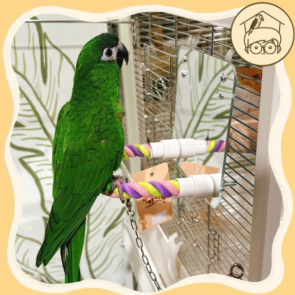 鳥鳥愛漂亮麻繩鏡面站棍組【鸚鵡小木屋】 