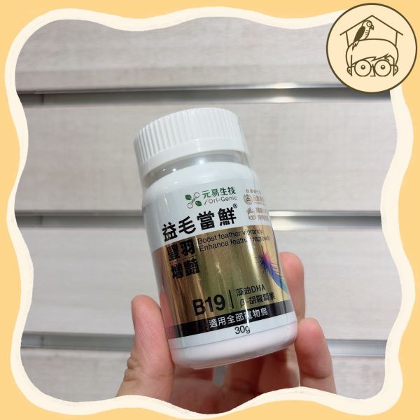 益毛當鮮｜鸚鵡羽毛最佳保健｜益毛不拔進階版 