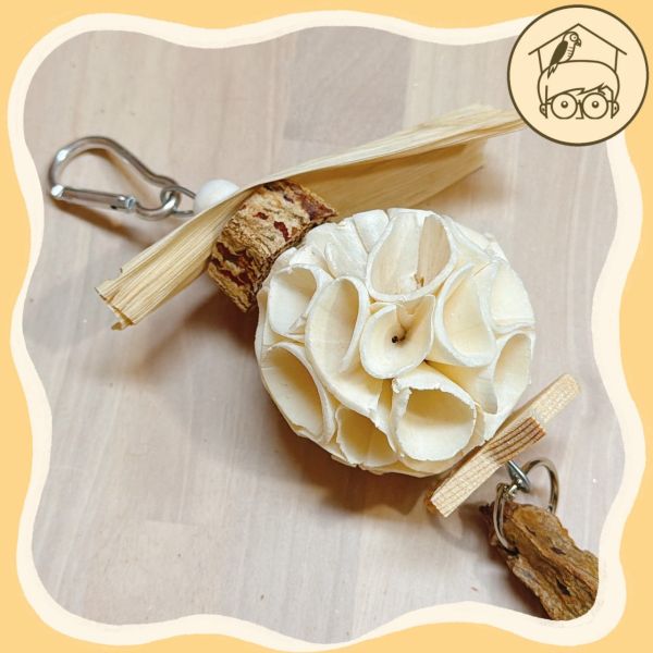 通草球桃花心木啃咬串【鸚鵡小木屋】 