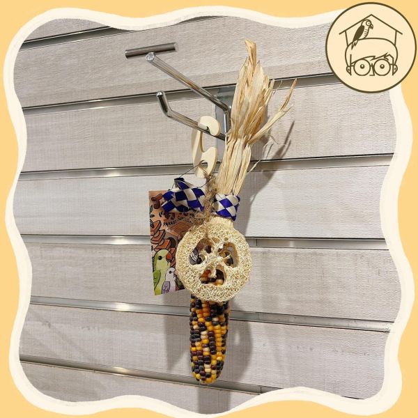 台產迷你小玉米｜絲瓜｜吃吃啃啃咬咬串【鸚鵡小木屋】 