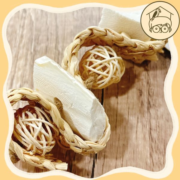 台灣手作蘋果樹系列｜海陸串燒海洋味【鸚鵡小木屋】 