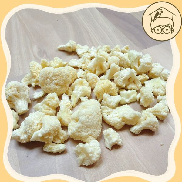 台灣｜蔬果凍乾點心區【鸚鵡小木屋】【純天然蔬果凍乾】鳥寶最愛的酥脆零食！ 