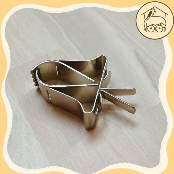 直籠橫龍通用!小巧蔬果夾【鸚鵡小木屋】 