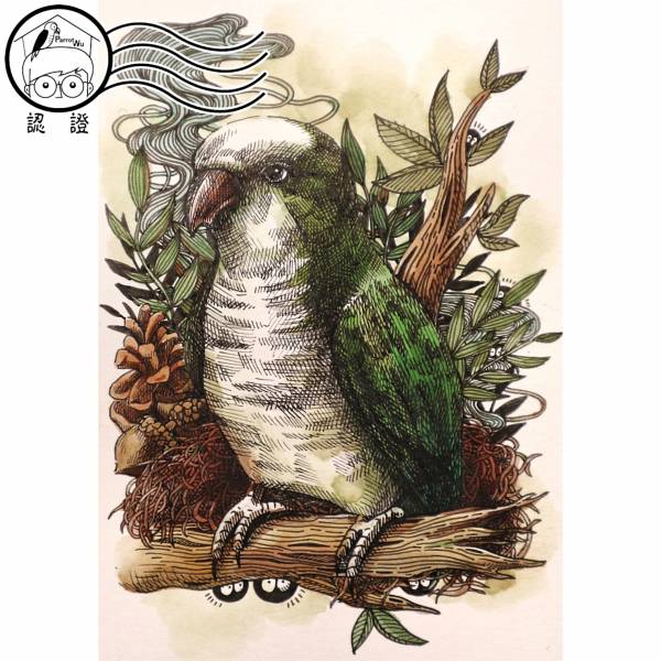 和尚鸚鵡明信片 