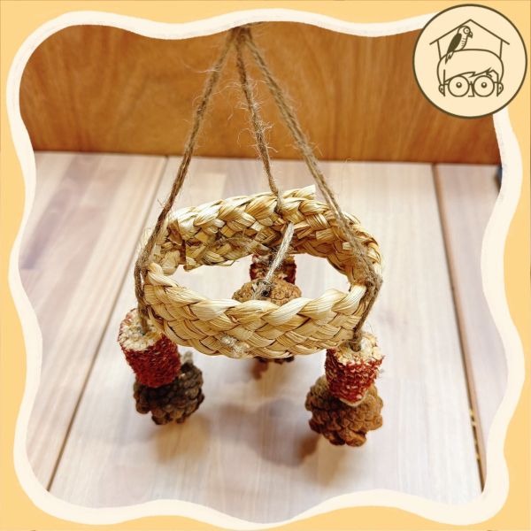 圈圈螺旋果實串【鸚鵡小木屋】 