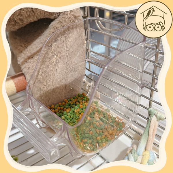 透明壓克力防潑灑食盒【鸚鵡小木屋】 