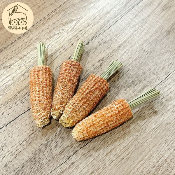 純天然四入啃咬玉米組【鸚鵡小木屋】 