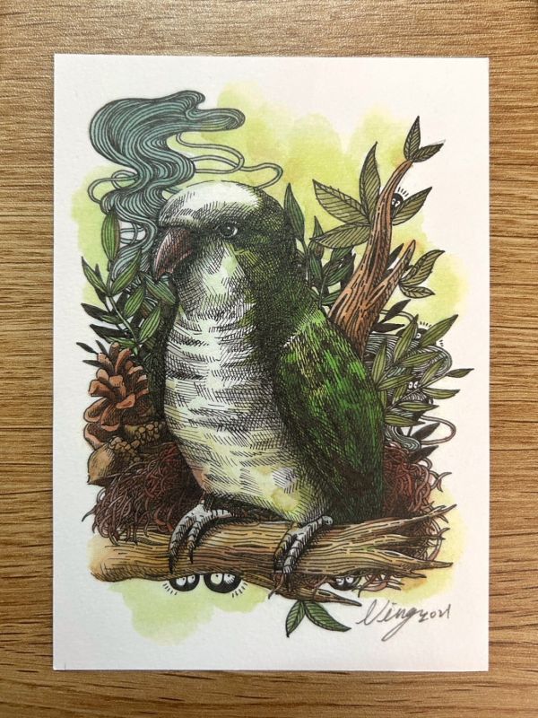 和尚鸚鵡明信片 